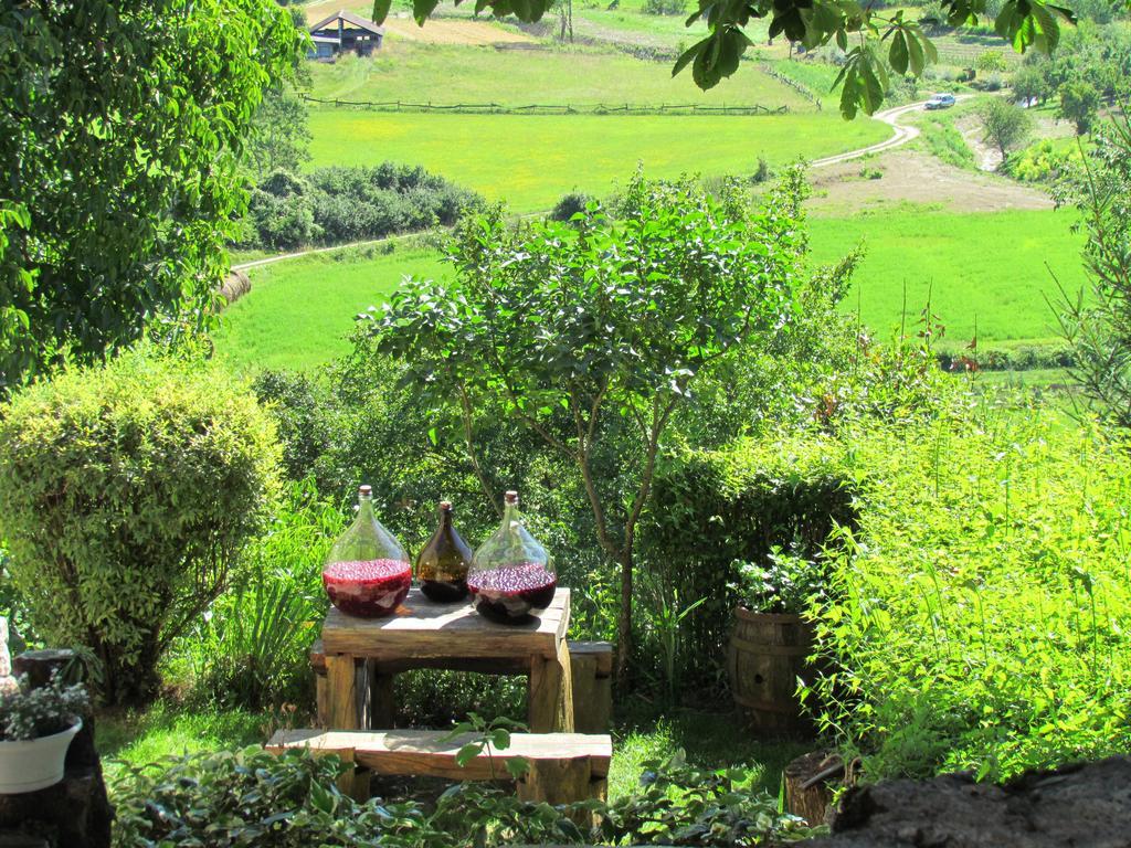 Summerhouse Beram Pazin Exterior foto