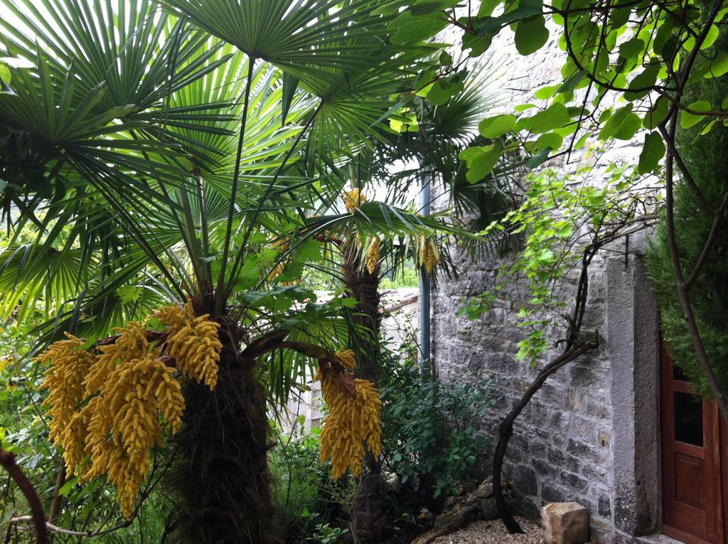 Summerhouse Beram Pazin Exterior foto